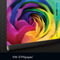 VM-SYN paper®