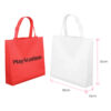 Non Woven Bag