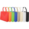 Non Woven Bag